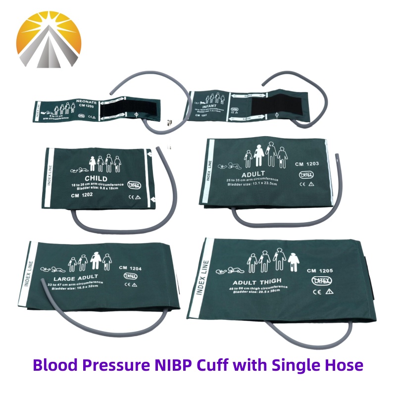 Six Sizes Available Neonates C - Dual Monitor Stand ulasan dan harga